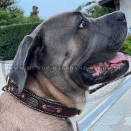 Modisches FDT Lederhalsband geflochten für Cane Corso