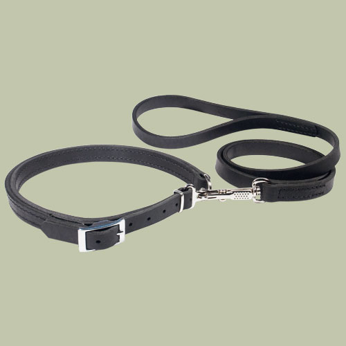 Police / hunting dog leash and collar (Combo) - Click Image to Close
