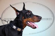 Hunde Halsband Leder für Dobermann mit rechteckigen Platten ⑤