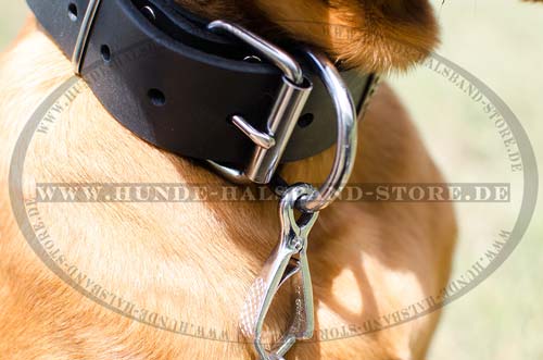 Designer Dog Collar with Robust D-Ring 