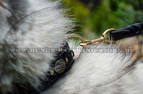 Leather Braided Collar for Dogs like Husky 