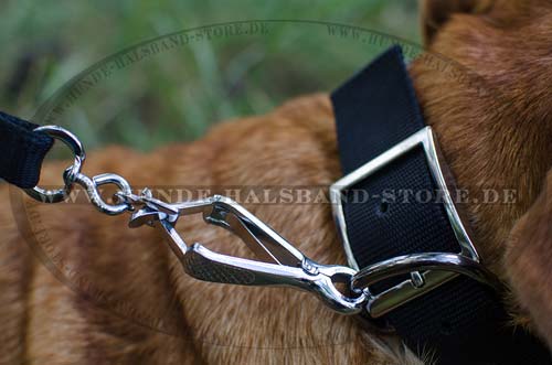 Design Hundehalsband Nylon für Bordeauxdogge