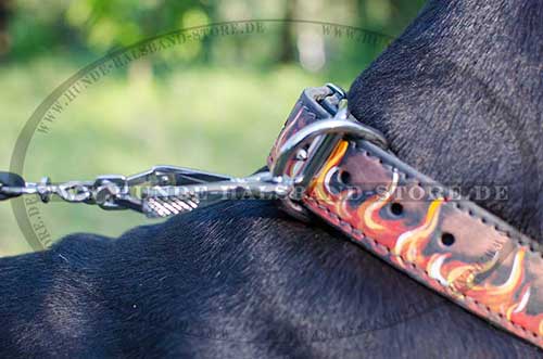 Deutsche Dogge mit Design Halsband Leder 