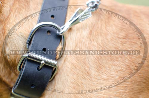 Designer dog Collar for Dogue de Bordeaux 