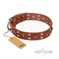 "Silver Elegance" Artisan Hundehalsband aus Naturleder "Silver Elegance" Artisan Hundehalsband aus Naturleder