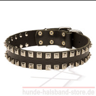 New Leather Dog Collar with Square Studs