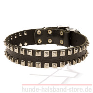 Breites Hundehalsband Leder mit quadratischen Nieten