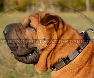 Lederhalsband mit silbrigem Dekor für Shar-Pei