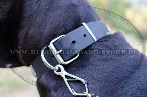 Wide Studded Dog Collar Made of Leather 