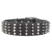 Breites Halsband fuer Deutsche Dogge mit Nieten und Spikes