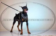 Dobermann Geschirr Leder mit Nieten