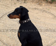 Designer
Lederhalsband fuer Dobermann