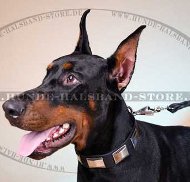 Dobermann Halsband mit Platten ⑩