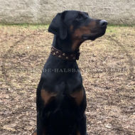 Rhomben Design Lederhalsband für Dobermann