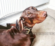 Halsband k9 aus Leder für Dobermann