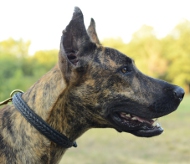 Hundehalsband Leder für Deutsche Dogge | Halsband mit Flechten
