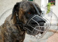 Bequemer Beißkorb aus Draht für Cane Corso