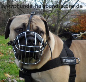 Wire dog muzzle for boerboel mastiff