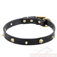 Halsband von FDT Artisan neu