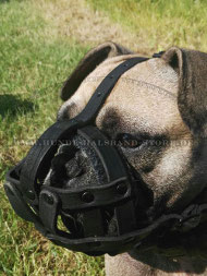 Ledermaulkorb mit Nappa Polsterung für Französische Bulldogge Ledermaulkorb mit Nappa Polsterung für Französische Bulldogge