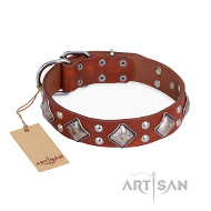 Tan Halsband von FDT Artisan