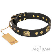 Ledernes Hundehalsband "Golden Radiance" von Artisan FDT