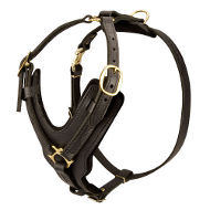 Luxury Handcrafted Padded Leather Harness