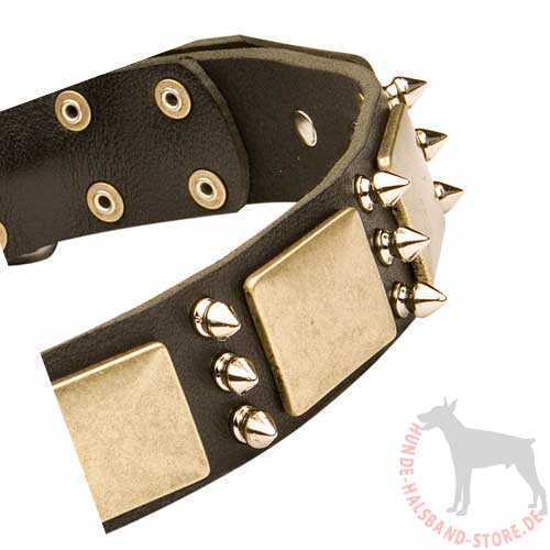 Festes Halsband für Hund mit Platten und Spikes 