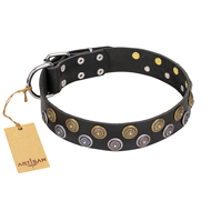 Hundehalsband Leder 