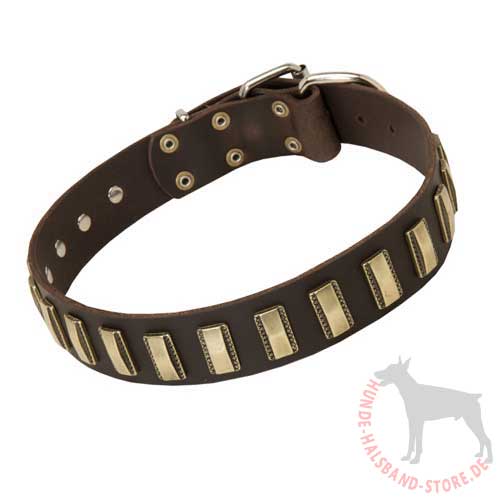 Dog Collar with Designer Plates 