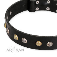 Schwarzes Kreise Design Halsband fuer Hund