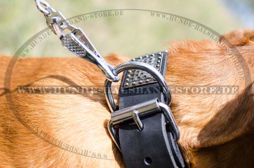 Lederhalsband für Hund 