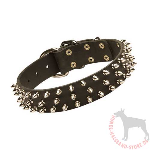 Leather Dog Collar with Spikes 