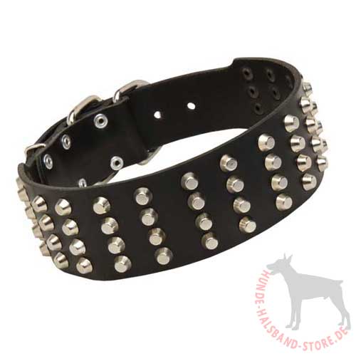 Studded Dog Collar with Pyramids, 5 cm 