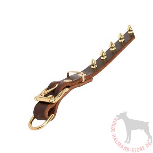 Designer Dog Collar with Brass Spikes 