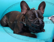 Alltag leichter Ledermaulkorb für Französische Bulldogge Alltag leichter Ledermaulkorb für Französische Bulldogge