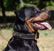 Rottweiler Lederhalsband geflochten und breit