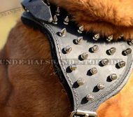 Brustgeschirr aus Leder mit Spikes für Shar-Pei