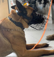 Malinois Drahtmaulkorb gummiert