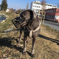 Drahtmaulkorb gummiert für Cane Corso