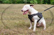 Alltag Hundegeschirr aus Nylon für Ihren Bullterrier ☂ ☃