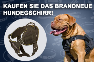 Hundegeschirr aus Nylon