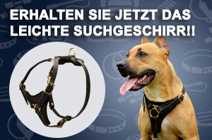 Hundegeschirr aus Leder