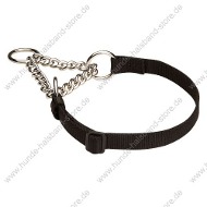 Hunde-Halsband aus Nylon und Halskette 2 in 1 Hunde-Halsband aus Nylon und Halskette 2 in 1