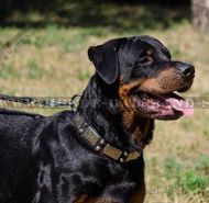 Handarbeit Halsband mit Platten und Pyramiden für Rottweiler