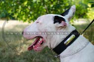 Zweischichtiges Hundehalsband aus Nylon für Bullterrier