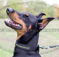 Super breites Halsband Nylon für Dobermann?