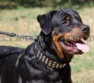 Lederhalsband mit 3 Reihen von Pyramiden für Rottweiler