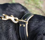 Bestseller Gepolstertes Lederhalsband für Schweizer Sennenhund