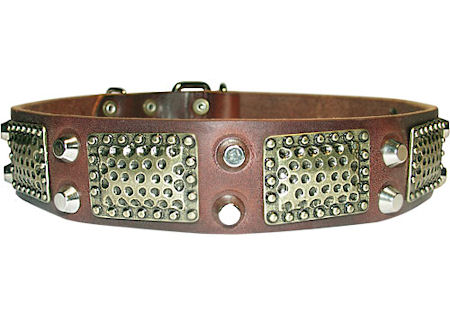 Gorgeous Leather Dog Collar with vintage plates and pyramids - Click Image to Close